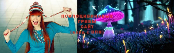 эйфоретик Арсеньев