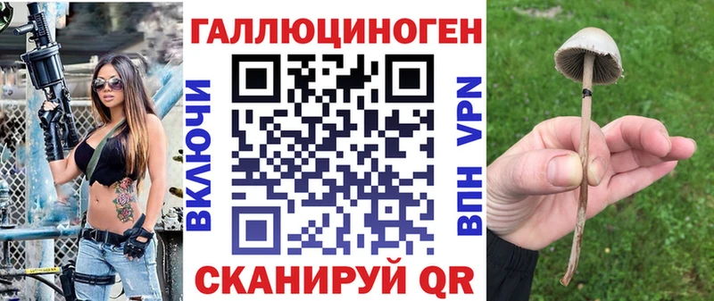 ссылка на мегу tor  Любань  Псилоцибиновые грибы Magic Shrooms 